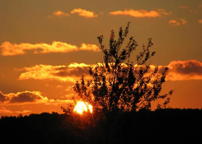 Ferienhaus-heisser-sand-whg-2 Wittdün